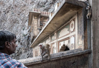 A man who lives among monk and take care of the temple.